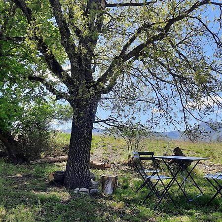 Gite Des Millets En Baronnies Rosans Kültér fotó