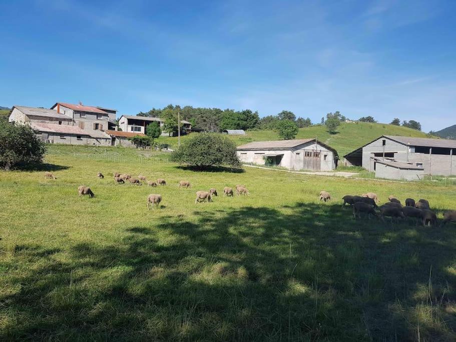 Gite Des Millets En Baronnies Rosans Kültér fotó